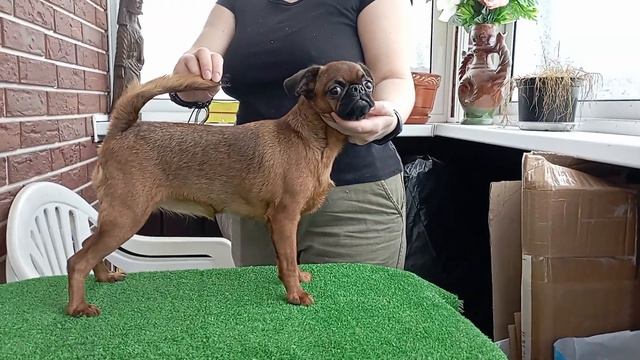 VID 20230226 1424571