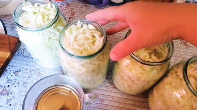 Ранняя капуста консервированая. смотреть онлайн