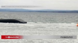 Лодка с тремя людьми перевернулась на Иркутском водохранилище