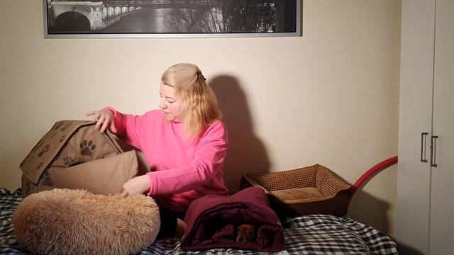Лежанка для собак! Место моей собаки. Dog's beds. смотреть онлайн