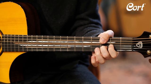 Cort Luxe II Frank Gambale / 콜트 기타 смотреть онлайн