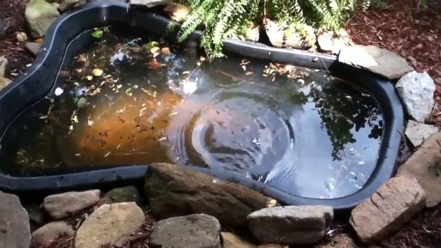 How to fish redneck style!! смотреть онлайн