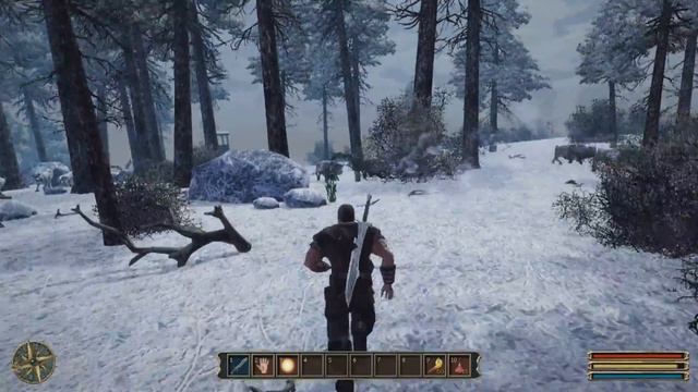 Gothic3 # 7 гайд по пермане́нтным растениям Нордмар смотреть онлайн