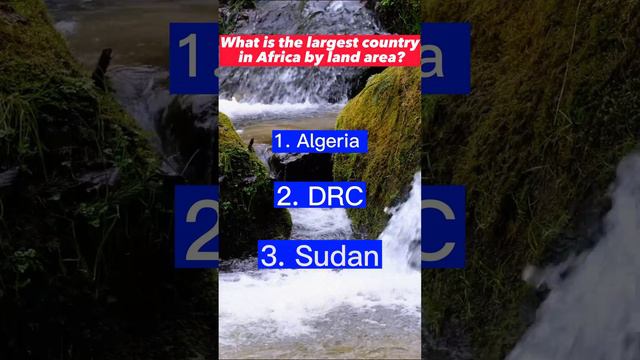Question African смотреть онлайн