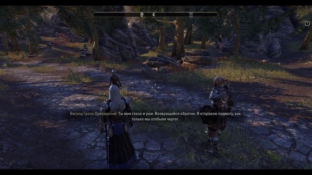 Стоит ли играть в TESO (The Elder Scrolls Online )