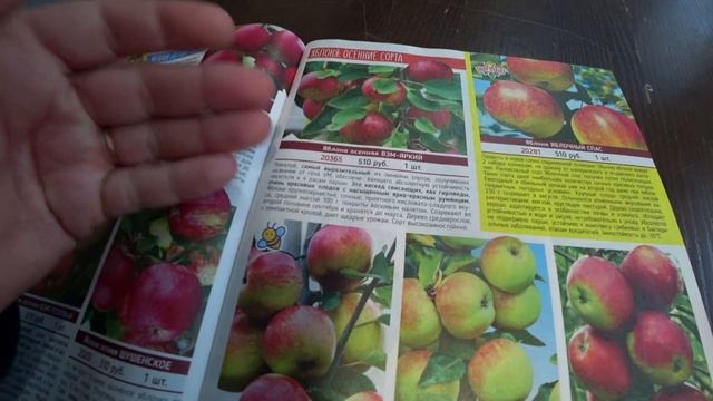 Обзор каталога от "Садов России" на 2023 год. Часть 9 смотреть онлайн