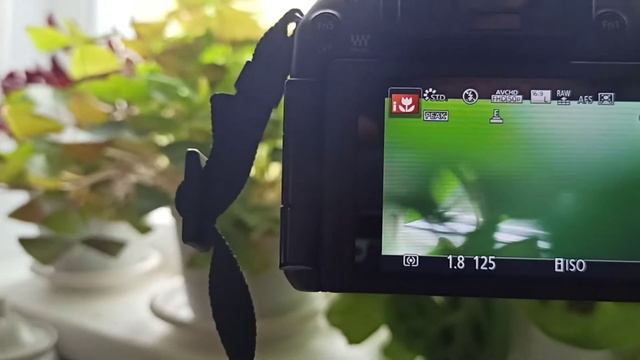 Panasonic G6 смотреть онлайн