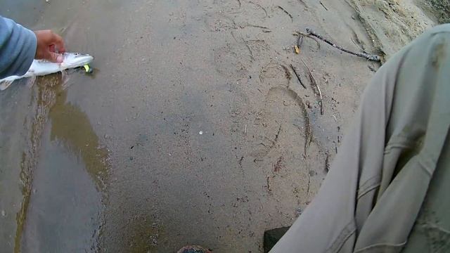 Рыбалка на Оби на спиннинг с берега Ловля крупной Щуки г Новосибирск смотреть онлайн