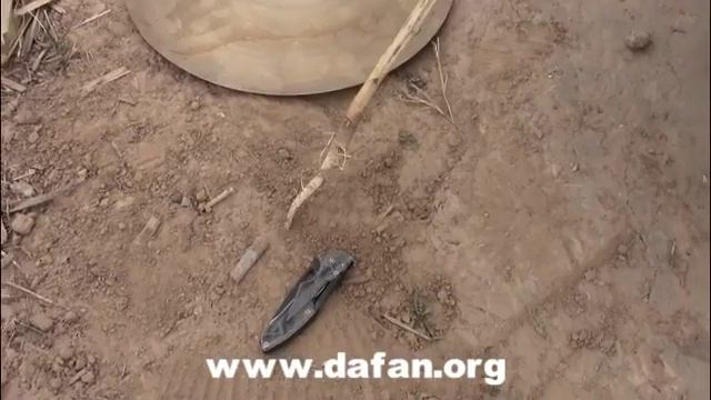 Q7 metal detector смотреть онлайн