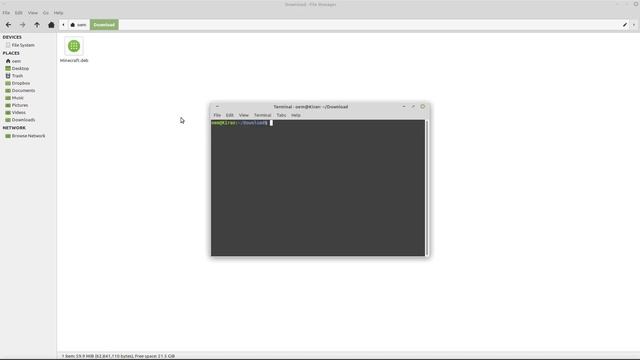 Installing Minecraft on any Debian based Linux смотреть онлайн
