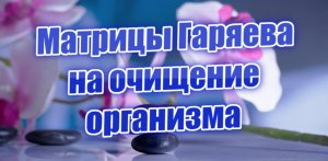 Матрица Гаряева на очищение организма