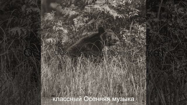 Настроения (Смена времен года) смотреть онлайн