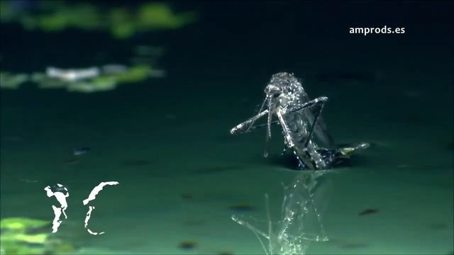 Топ интересных фактов о мире