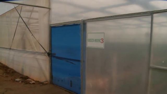 HI TECH FLORICULTURE PROJECT BY BOLLEPALLI SRIKANTH | DRUSTI MEDIA & PRODUCTIONS смотреть онлайн