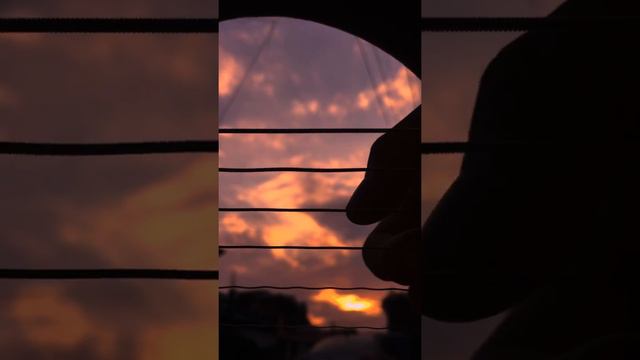 the only exception // paramore - guitar fingerstyle cover смотреть онлайн