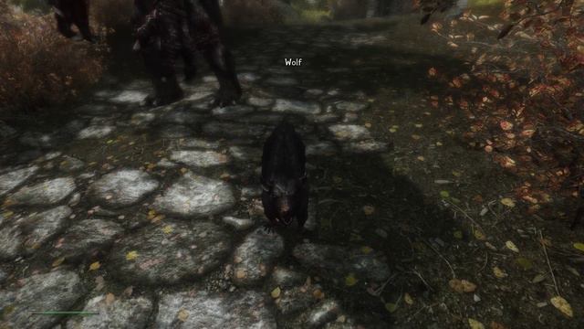 Skyrim Requiem One With Nature: Episode 38 смотреть онлайн