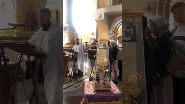 Чтение акафиста святителю и чудотворцу Луке Крымскому Владивосток отец Димитрий Порт-Артурский храм смотреть онлайн