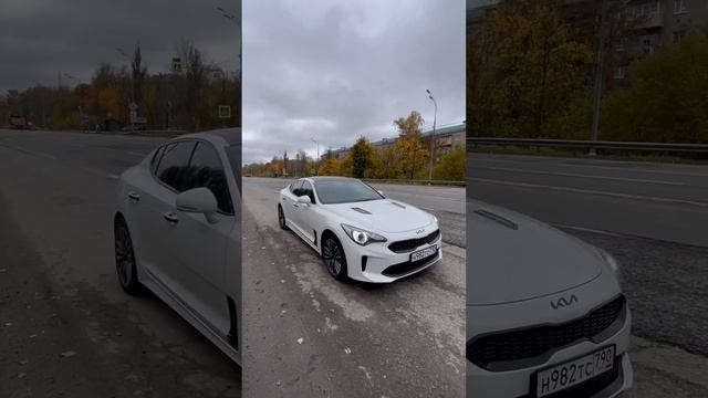 Киа Стингер #kia #stinger #авто смотреть онлайн