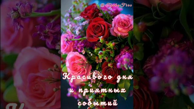 Хорошего дня! Цветы для тебя дорогая. Красивое пожелание