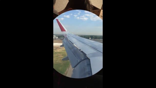 МУСЯ ПУТЕШЕСТВЕННИЦА/ПЕРВОЕ ВИДЕО/ПУШИСТОЕ ЧУДО❤ смотреть онлайн