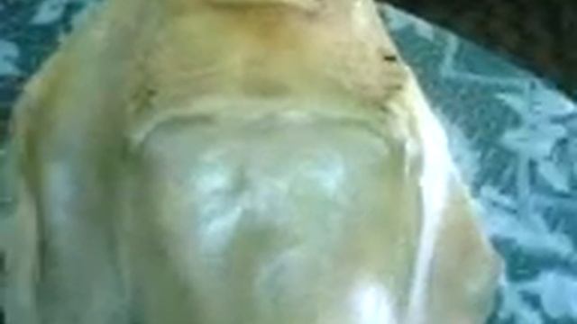 Русалка чемала смотреть онлайн
