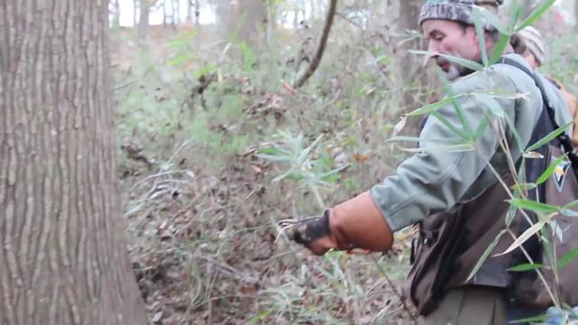 The Goldsboro Falconry Meet смотреть онлайн