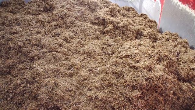 Еще раз о кормлении дойных коров в КФХ "Герефорд" смотреть онлайн