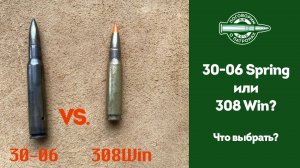 Кто круче? 308vs3006