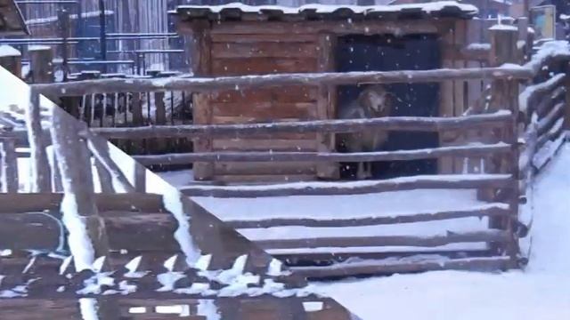 Сельский дворик смотреть онлайн