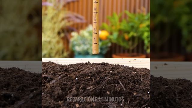 Jardinería fácil: Trucos para que tus plantas crezcan y florezcan смотреть онлайн
