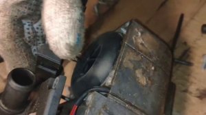 Ремонт Eberspacher на Ford Kuga 2.0 TD