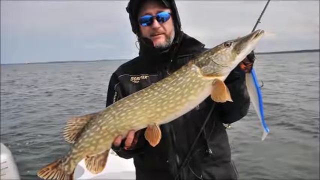 Рыбалка в Рюгене. Fishing in Rúgen 2014 May 4-8 смотреть онлайн