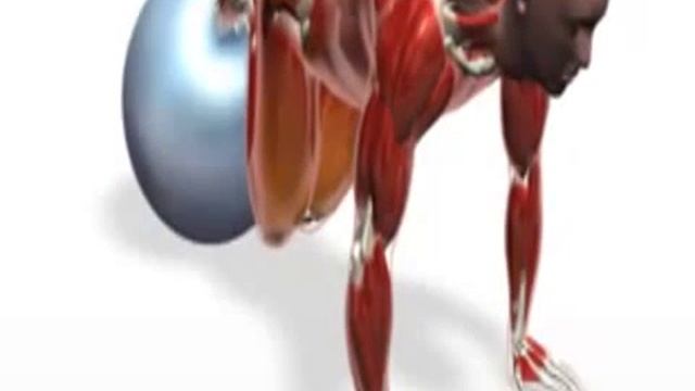www.hilfe-forum.eu - 208-Übung-Ball-tuck смотреть онлайн
