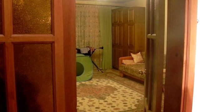 ЖИЗА by СИНИЦА :3 смотреть онлайн