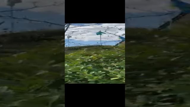 Британия сейчас