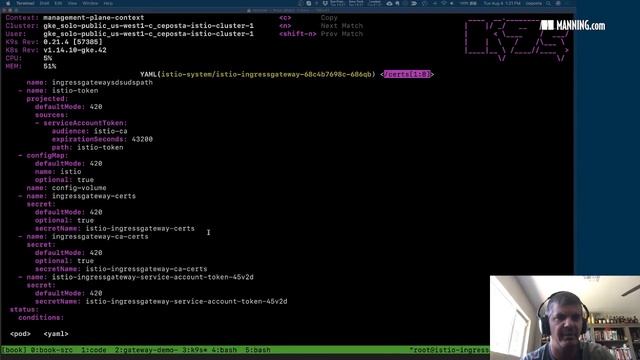 Istio Ingress Gateway: Getting Traffic into your Service Mesh смотреть онлайн