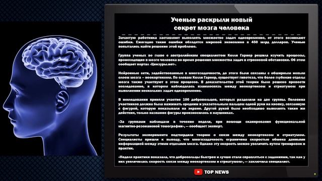 Новый секрет мозга человека смотреть онлайн