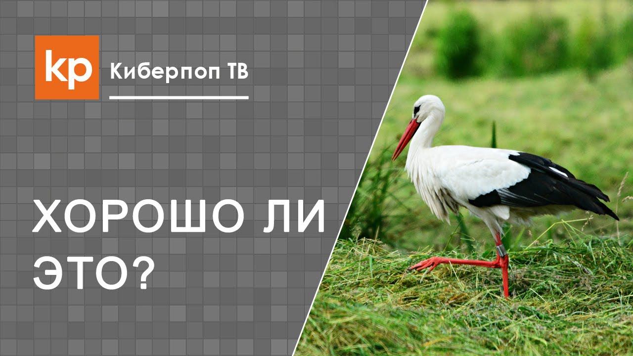 Хочу родить без мужа. Ребенок воспитанный мамой