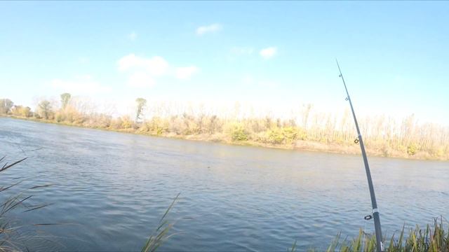 охота на утку смотреть онлайн