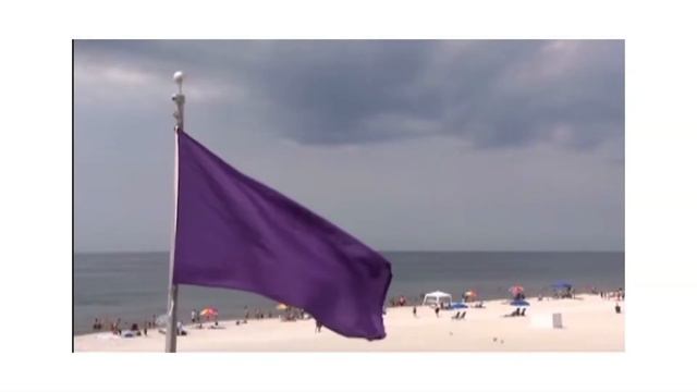 Beach Flag Safety Explained by Local Students смотреть онлайн