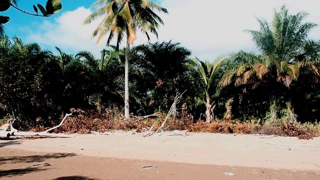 Olympus OM-D Mark II Video Footage Merabung Beach смотреть онлайн