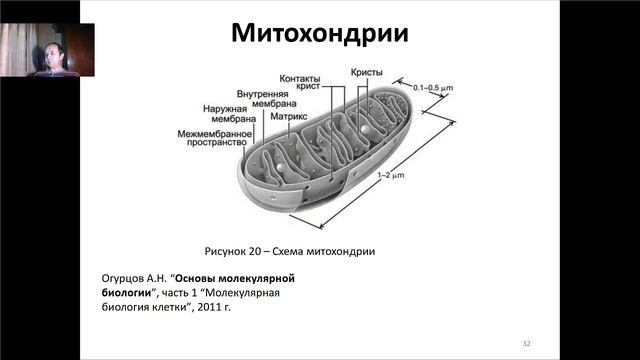 Основы молекулярной и клеточной биологии. Лекция 1. Введение