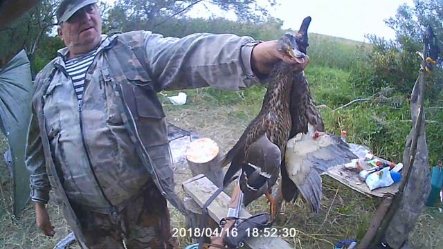 Протока Оби "Соплечиха" Рыбалка и Охота смотреть онлайн