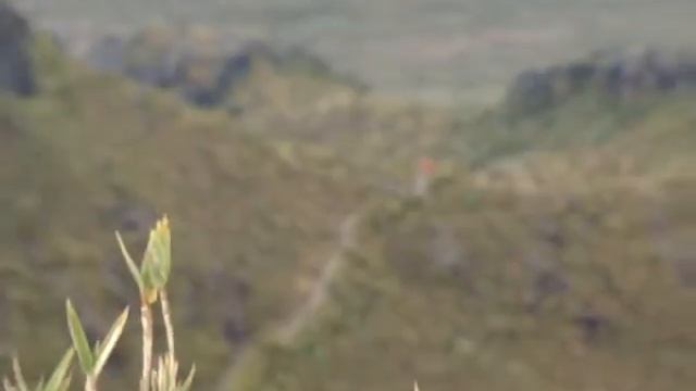 Mount Chirripo Summit Vid смотреть онлайн