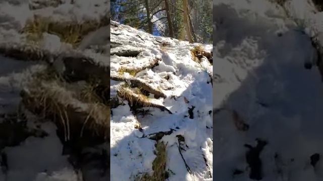 Замок Нойшванштайн. Бавария смотреть онлайн