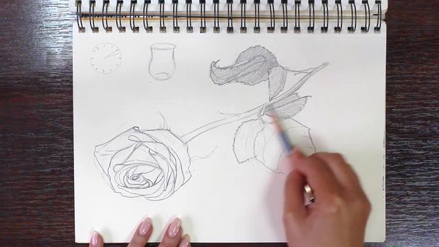 РОЗА ?рисуем карандашом ✏️ смотреть онлайн