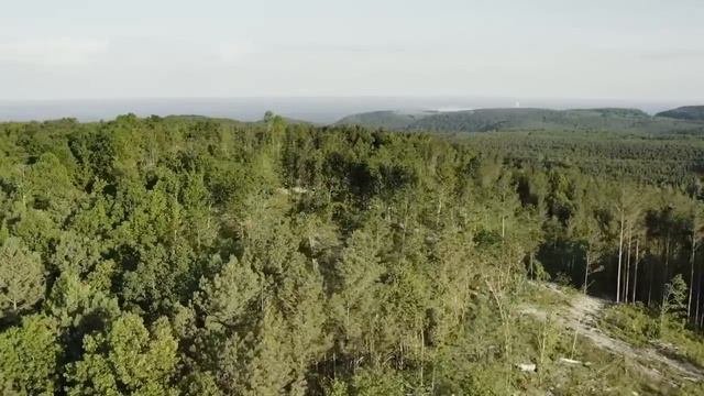 ПОЧЕМУ ЖЕНЩИНАМ невыгодно МУЖСКОЕ ВОЗДЕРЖАНИЕ? ОСНОВНЫЕ ПРИЧИНЫ смотреть онлайн