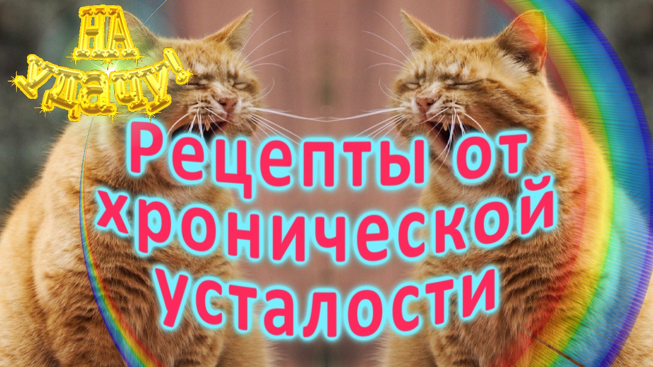 Рецепты от хронической усталости