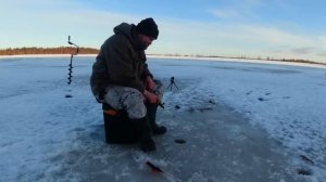 РЫБАЛКА НА ДИКОМ ОЗЕРЕ. ПОПРОБОВАЛ НОВОЕ ОЗЕРО И ОБАЛДЕЛ. НЕПЛОХО ПОЙМАЛ В  ГЛУХОЗИМЬЕ