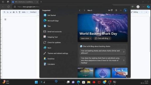 Installing Debian Ubuntu from Microsoft store on windows wsl